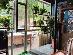 -77号·蒸海鲜青岛菜(积米崖店)