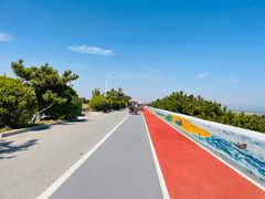 -日照海滨国家森林公园
