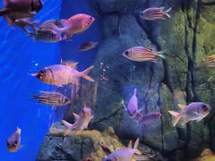 -成都浩海立方海洋公园
