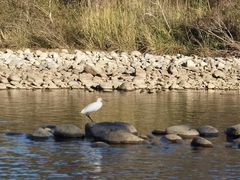 -九曲溪竹筏码头