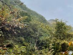 -北京密云天门山风景区