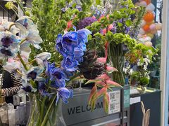-FEI FEI FLOWER鲜花店·气球派对·宝宝宴布置(虹口德必运动Loft店)
