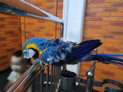 -成都浩海立方海洋公园