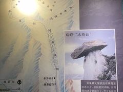 -安徽省地质博物馆
