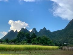 -万峰林风景区