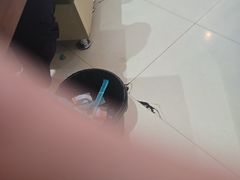 -鲁南仔·滕州炒鸡(经三路店)