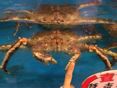 -潮喜竹溪荔湖酒家(荔枝湾店)