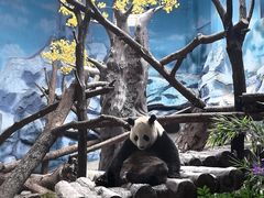 -乐和乐都主题乐园