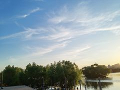 -长白岛森林公园