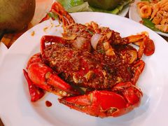 -大树下海鲜饭店