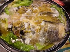 水库鱼头-湘聚老院子(洛江店)