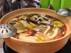 -菌小白·野生菌火锅(时尚天河店)