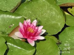 -永定河休闲森林公园