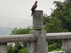 -高榜山景区