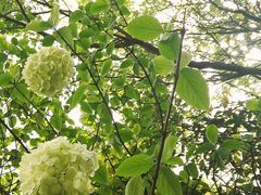 -桃花岛景观公园