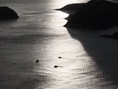 -花竹村