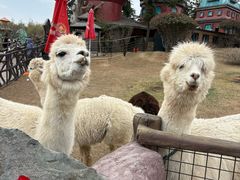 -南京银杏湖乐园