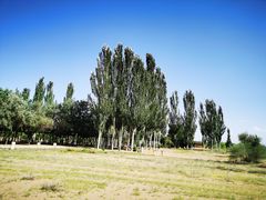 -国强手抓(西夏区店)