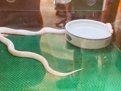 -上海大自然野生昆虫馆