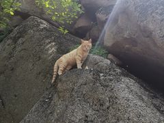 -崂山巨峰游览区