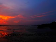 -宝安西湾红树林湿地公园