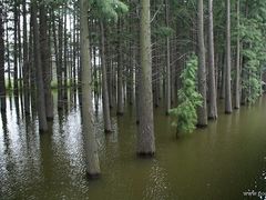 景点-采石矶景区