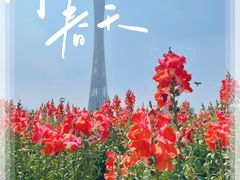 -海心沙亚运公园