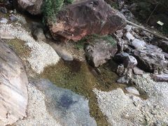 -花岩国家森林公园