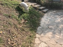 -韩湘水博园