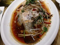 清蒸桂鱼-萃和楼海鲜酒店(汉口路店)