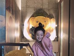 -济州岛泰迪熊博物馆