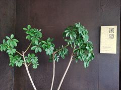 -木守西溪溪隐餐厅