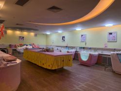 -生命加•Q考拉月子会所(玫瑰园店)