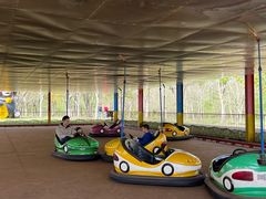 -上海海湾国家森林公园