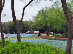 -上海滨江森林公园