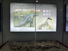 -嘉荫恐龙国家地质公园