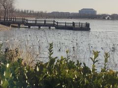 -天津东丽湖风景区