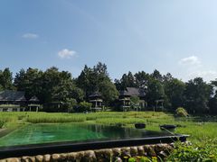 -四季酒店下午茶