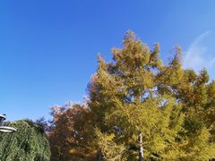 -长春公园(普阳街道)