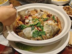 -蔼若春.传承三十年云南菜(金碧公园店)