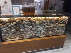 水产区-HAVE A ROOM·有间质果(总店)