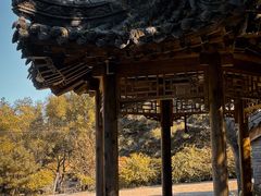 -爱新觉罗皇家博物院
