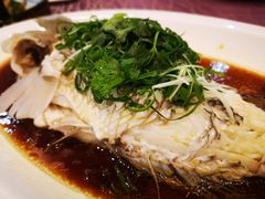 -欢乐海岸美食联盟