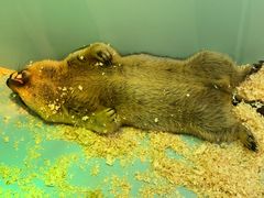 -FAIRYLAND龙族星球主题餐厅(凯丹广场店)