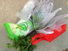 万源龙顺度假庄园采摘园-万源龙顺度假庄园生态观光园