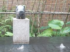 -汇雅温泉