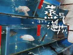 -海大大蒸汽海鲜餐厅·粤菜·特色小炒(欢乐颂店)