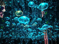 -杭州西湖星空魔幻城(星空艺术馆品牌旗舰店)