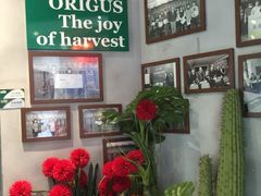 -好伦哥比萨烤肉自助(八里桥店)