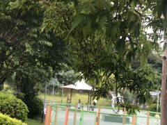 -飞凤山奥体公园